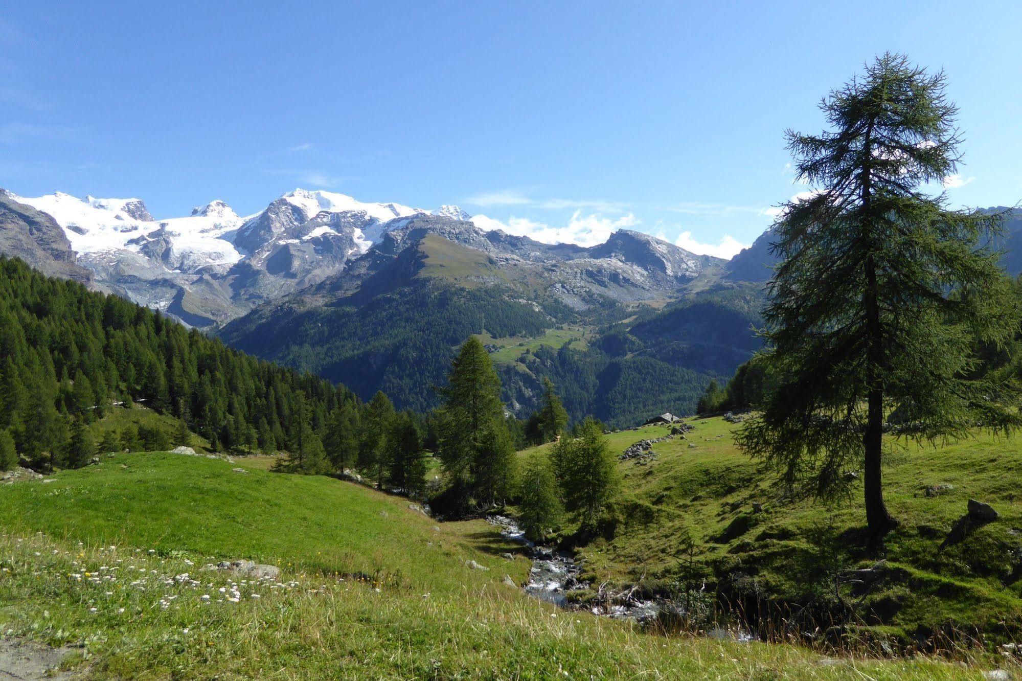 Apart-hotel Family Le 3*