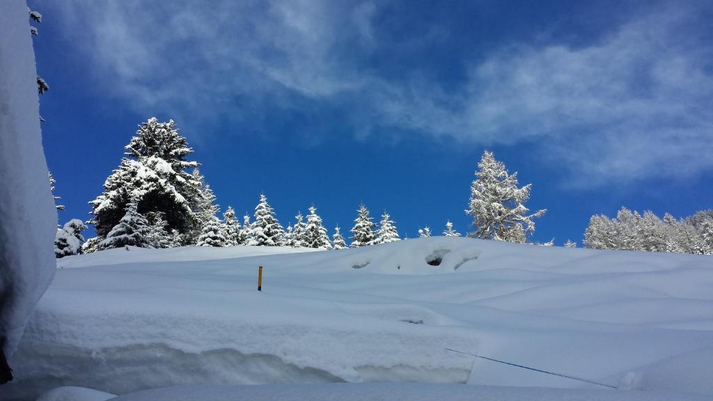 Family Le 3* Champoluc