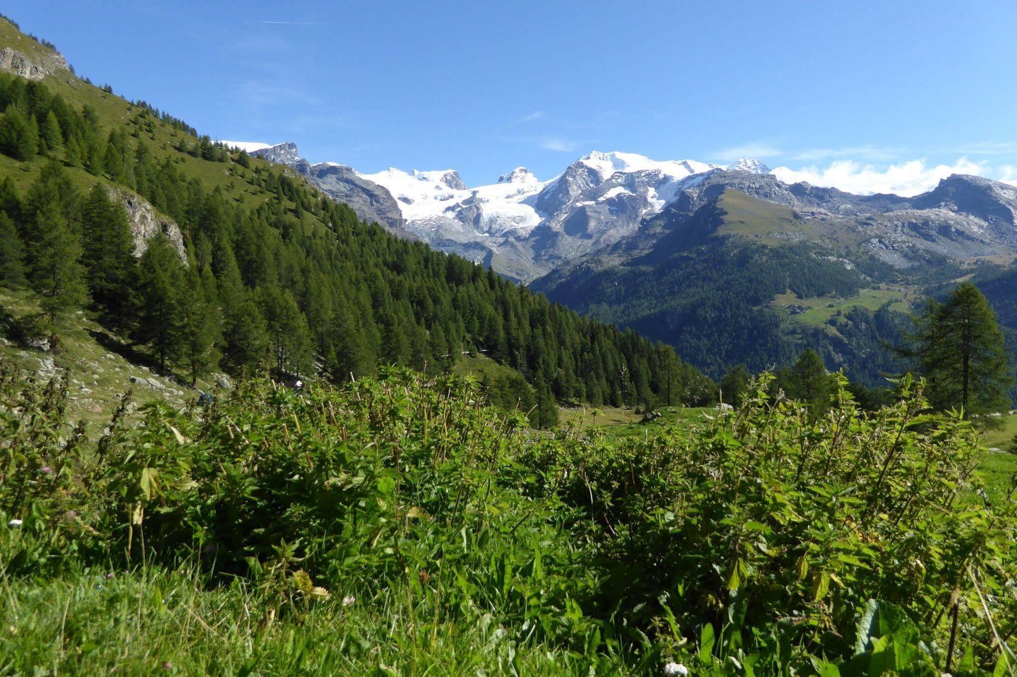 Family Le Champoluc
